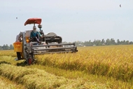 PM orders actions to safeguard agricultural production, exports amid global trade volatility
